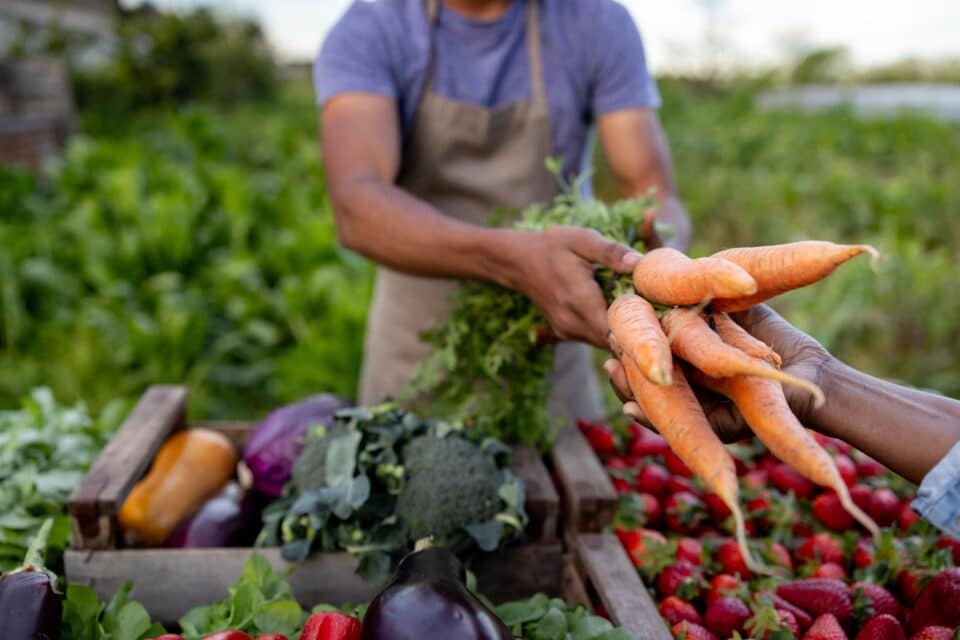 Close-up on a man selling homegrown carrots at a Farmer's Market - sustainable lifestyle