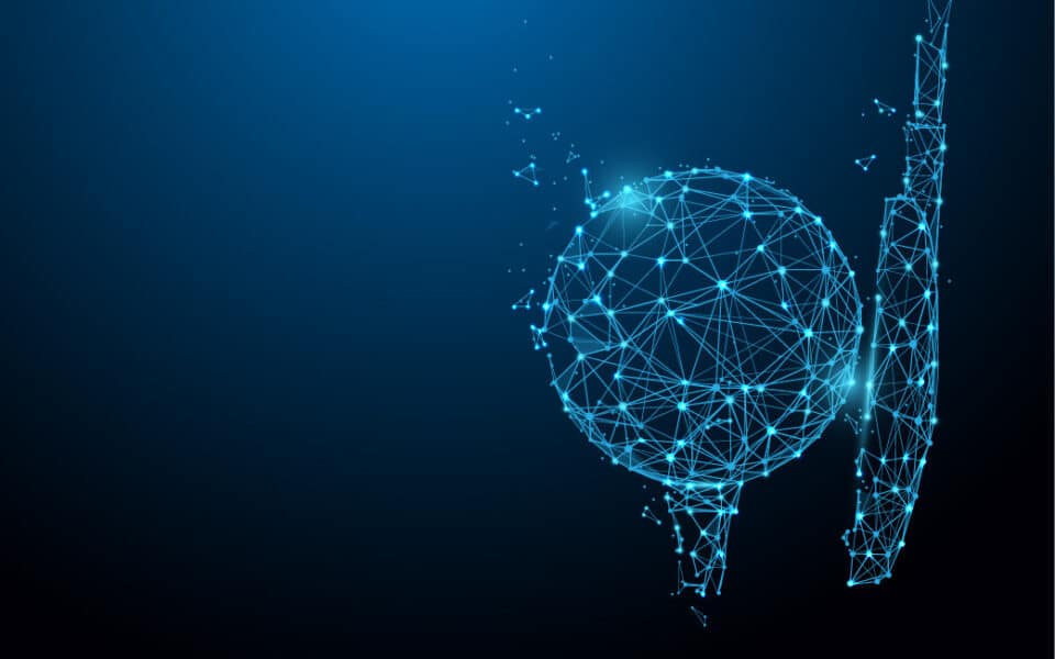 PG Professional Golf